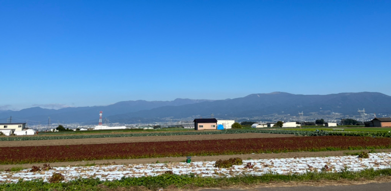 村の87%が山林!?長野県朝日村ってどんなところ?|1UPきのこファクトリー